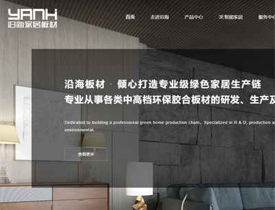 网站建设案例