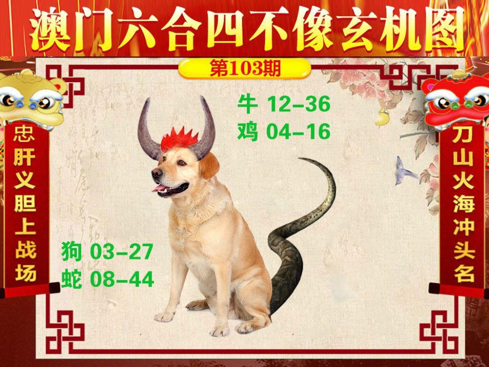 2024澳门天天开彩正版免资料
